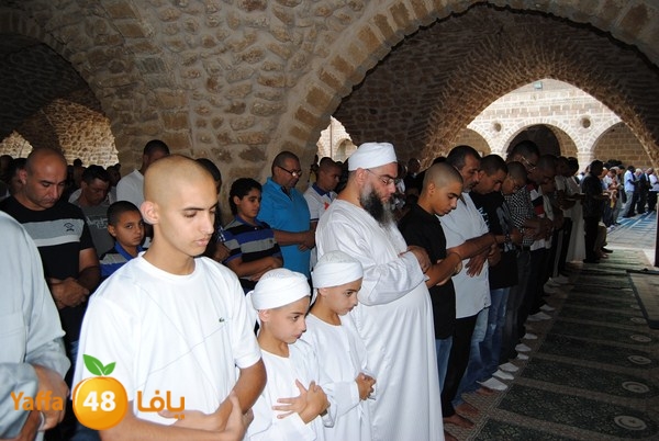 mahmoduia 3eed 808 (32).JPG